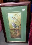 A large framed print of an owl COLLECT ONLY