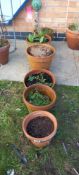 6 Terracotta plant pots