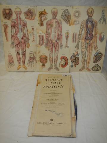 An Atlas of Female Anatomy, in poor condition. - Image 2 of 8