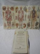 An Atlas of Female Anatomy, in poor condition.