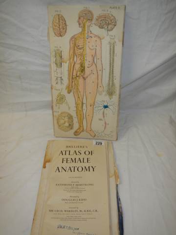 An Atlas of Female Anatomy, in poor condition. - Image 7 of 8