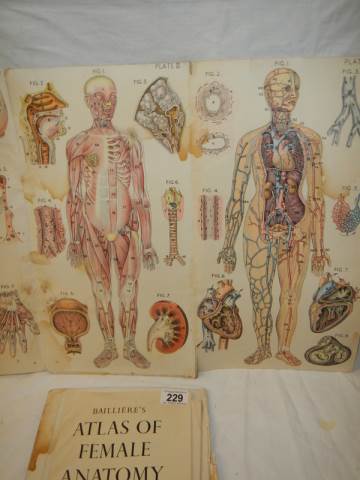An Atlas of Female Anatomy, in poor condition. - Image 3 of 8