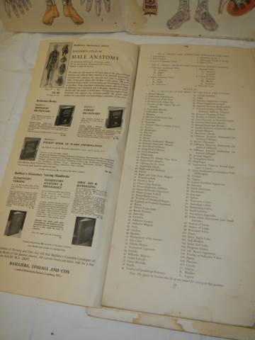 An Atlas of Female Anatomy, in poor condition. - Image 5 of 8