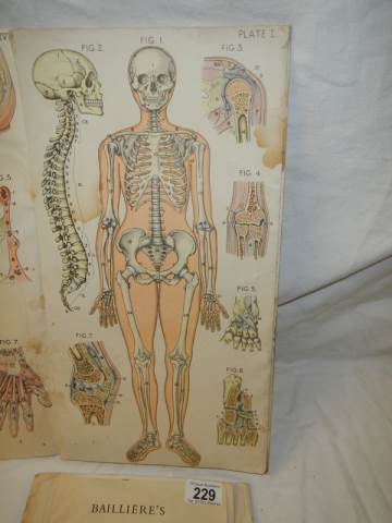 An Atlas of Female Anatomy, in poor condition. - Image 6 of 8