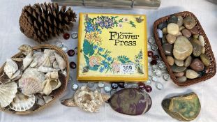 A flower press & assortment of seashells, tumbled stones & glass beads