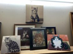 A quantity of 6 small cat pictures