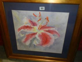 A framed and glazed watercolour study of a lily flower signed Joanna Woods, COLLECT ONLY.
