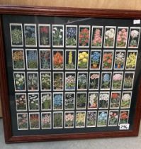 A Framed 'Flower cultures in pots' cigarette cards (50 cards)