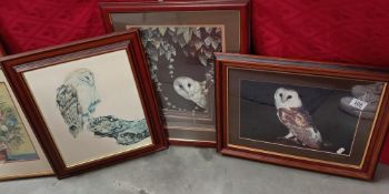 2 Fabulous framed & glazed photographs of owls & 1 other print.