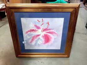 A watercolour of a lily by Joanna Woods