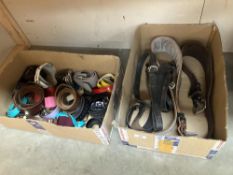 A good quantity of belts in 2 boxes