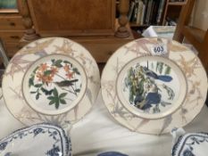 2 Royal Worcester collectors plates depicting birds of America 'Swainson's warbler' & 'Florida Jay'