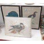 2 Framed & glazed prints by David Andrews of a grouse & ptarmigan & 1 other