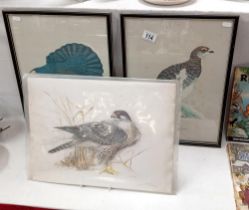 2 Framed & glazed prints by David Andrews of a grouse & ptarmigan & 1 other