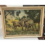 A Vintage oil on board of an African water buffalo. 68 x 51cm