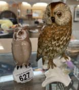 A German owl & 1 other
