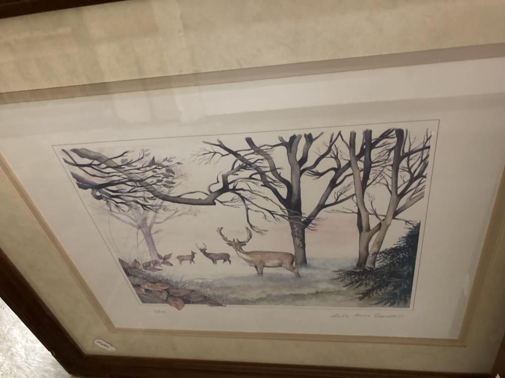 2 Framed & Glazed limited edition prints by Carole Anne Teasdale of a fox 47/300 & Deer 1/300 - Image 3 of 4