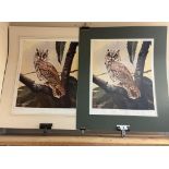 2 Limited edition prints of owls by John Lewis Fitzgerald 16/500 & 20/500