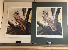 2 Limited edition prints of owls by John Lewis Fitzgerald 16/500 & 20/500