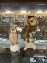 A German owl & 1 other