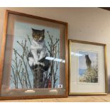 2 Framed & glazed watercolour cat pictures. Largest picture 49cm x 62cm. Both signed, one indistinct