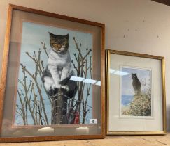 2 Framed & glazed watercolour cat pictures. Largest picture 49cm x 62cm. Both signed, one indistinct