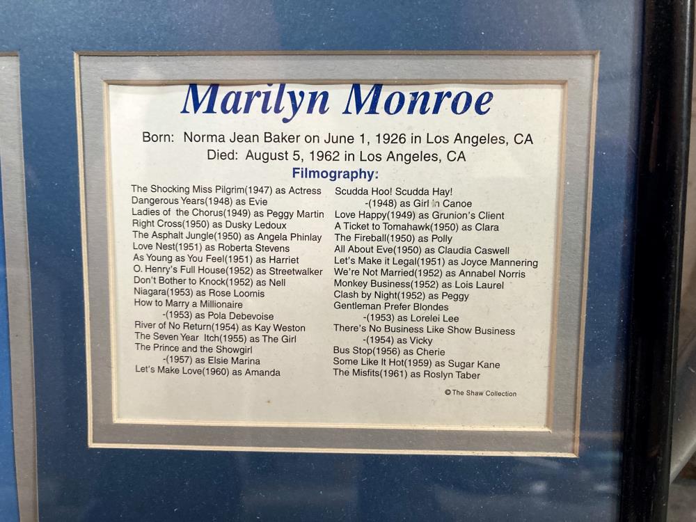 A Framed collection of Marilyn Monroe pictures & info on filmography 28 x 36cm - Image 2 of 2