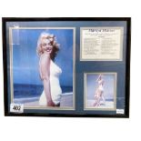 A Framed collection of Marilyn Monroe pictures & info on filmography 28 x 36cm