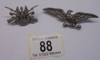 An eagle badge and one other.