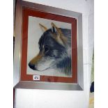 A framed and glazed print of a wolf, COLLECT ONLY.