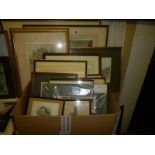 Fifteen good framed engravings, COLLECT ONLY,