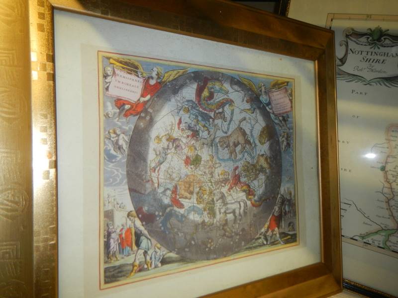 Four framed and glazed maps and one other including Nottinghamshire, The Falklands etc., COLLECT - Image 3 of 6