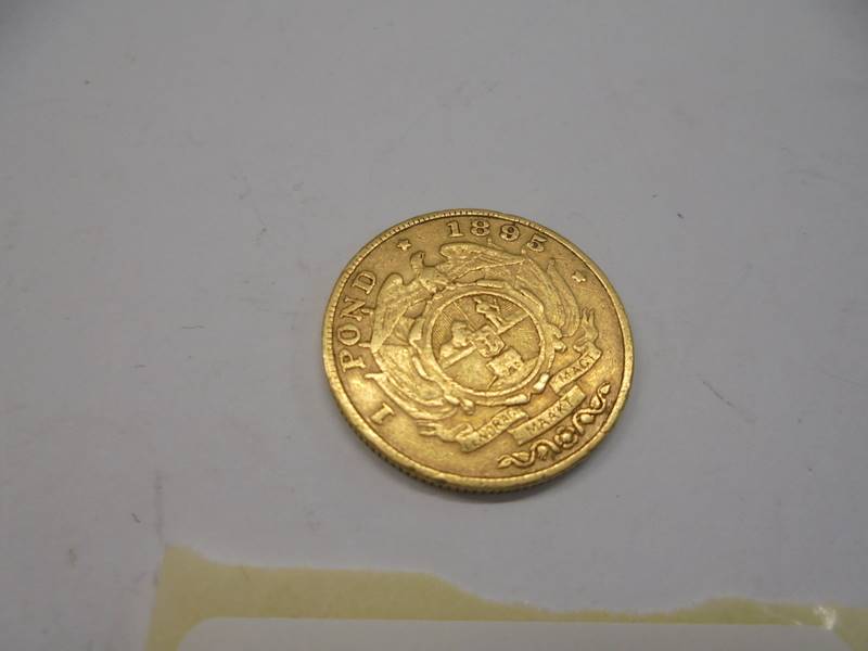 An 1895 South African one pound (22 carat) gold coin. - Image 3 of 3