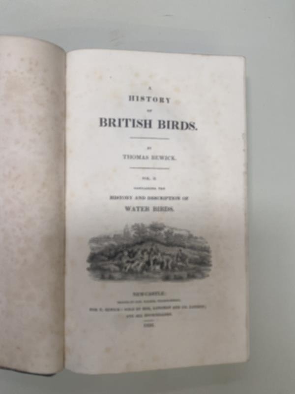 Bewick, Thomas A History of British Birds 2 Volumes in slipcase 1826 - Image 5 of 5