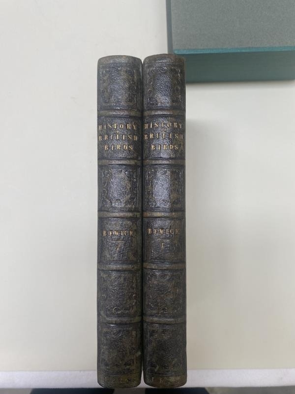Bewick, Thomas A History of British Birds 2 Volumes in slipcase 1826 - Image 3 of 5