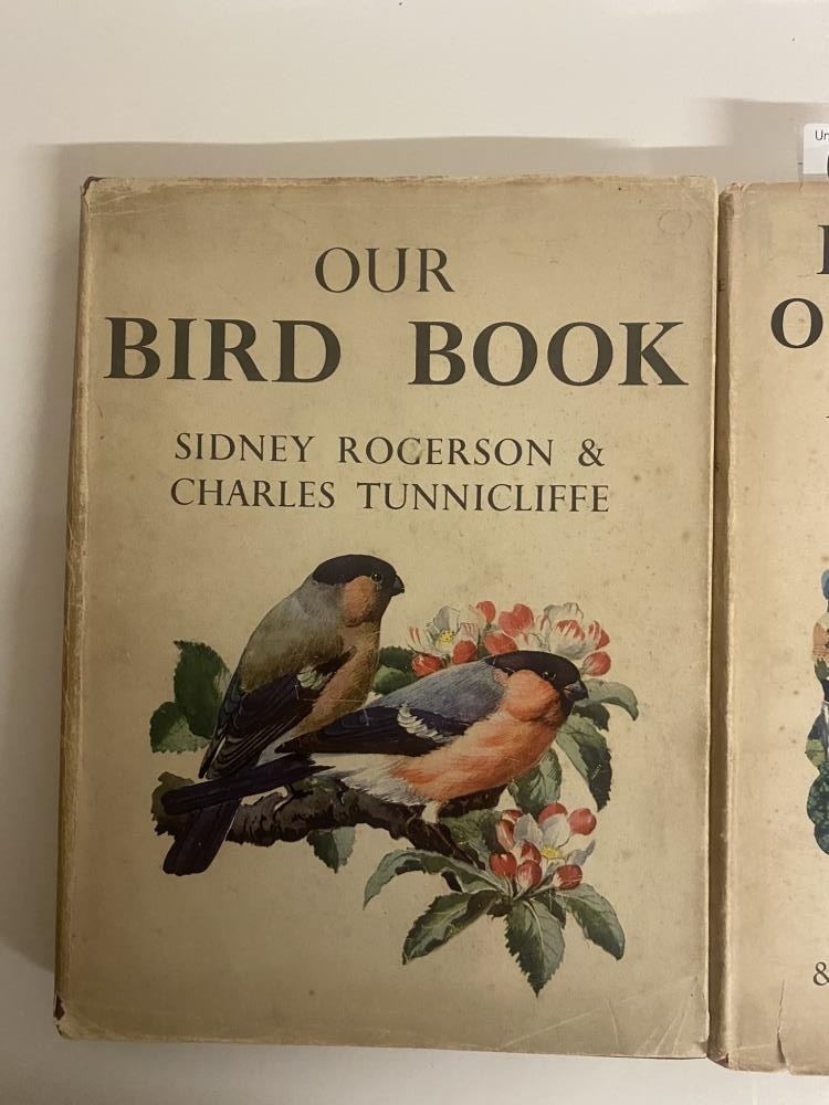 Rogerson and Tunnicliffe, Our Bird Book with dj and Both Sides of the Road with dj - Image 2 of 6