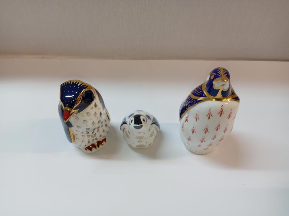 3 Royal Crown Derby Penguin paperweights, 2 with gold stoppers, 1 with silver stopper - Image 2 of 3