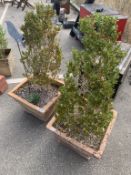 2 Large terracotta pots