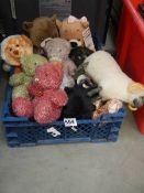 A tray of soft toys.