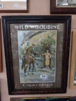 Wild Woodbine cigarettes framed pictorial advertising show card {59 cm H x 47 cm W}.