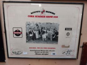 Murphys Stout Summer Show 1980 Red Rum Champion of All time framed print {52 cm H x 70 cm W}