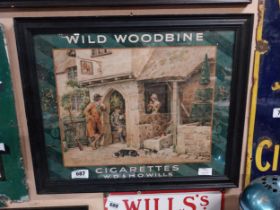 Wild Woodbine Cigarettes W D and H O Wills framed showcard. {47 cm H x 57 cm W}.