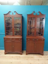 Pair of good quality mahogany book cases with two astral glazed doors over two short drawers and two