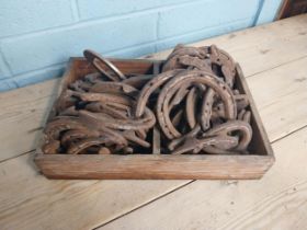 Collection of horse shoes in wooden crate.