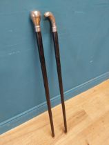 Two walking sticks {92 cm L}.