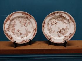 Pair of 1st Period Belleek Wild Rose patterned plates.