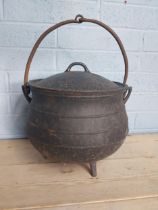 Early 20th. C. cast iron 8 gallon skillet pot with lid and handle { 54cm H X 43cm W X 40cm D }.