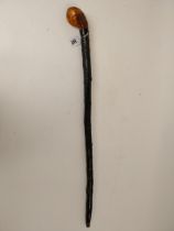 Blackthorn Shilleleagh with metal label with four provinces Ireland. {94 cm L}.