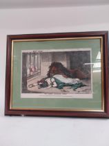 Freeman's Weekly framed coloured print - The Lion's Den Home Rule. {46 cm H x 61 cm W}