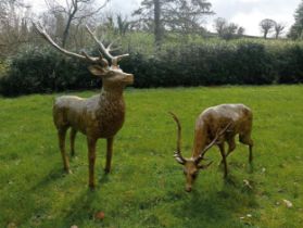 Pair of cast iron stags one head up one head down {H 136cm x W 106cm x D 70 and H 78cm x W 100cm x D